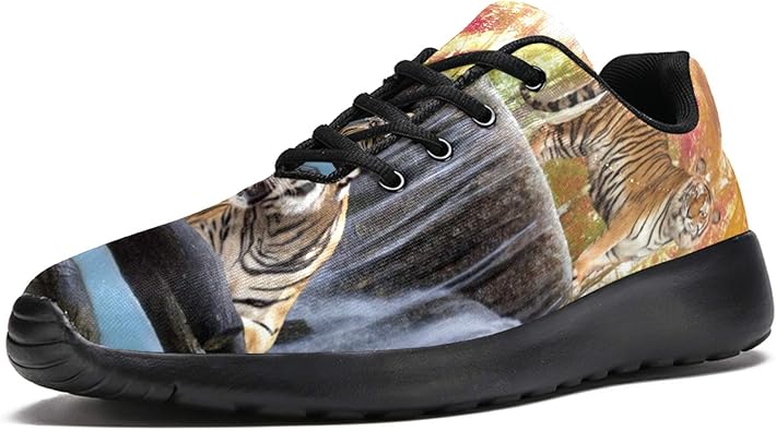tiger chaussure homme