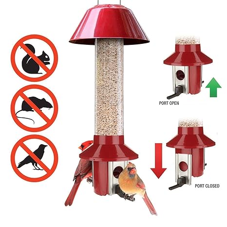 Roamwild Pestoff Squirrel Proof Bird Feeder Mixed Seed Sunflower