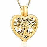 shajwo Heart Cremation Urn Ashes Necklace for Women