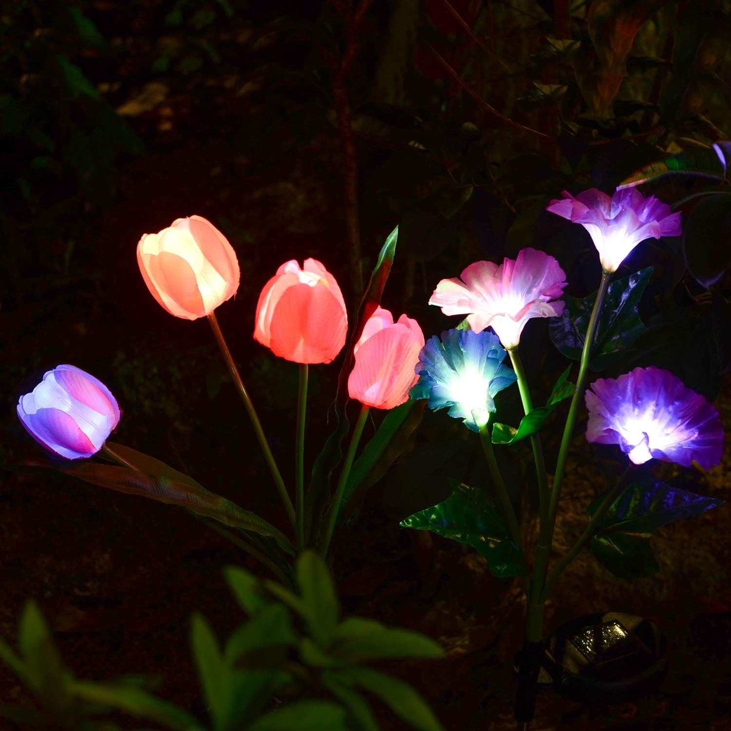 Solarmart Outdoor Solar Garden Lights 2 Pack Solar Powered Lights Multi Color Changing Led Solar Stake Lights For Garden Patio Backyard Tulip And Morning Glory Flower Amazon Ca Home Kitchen