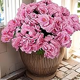 Aisamco Artificial Flowers for Outdoor Spring Summer Decoration,6 Bundles Fake Silk Geraniums Flowers Faux Flowers Plants UV Resistant for Garden Home Planter Windows Yard Table Centerpiece