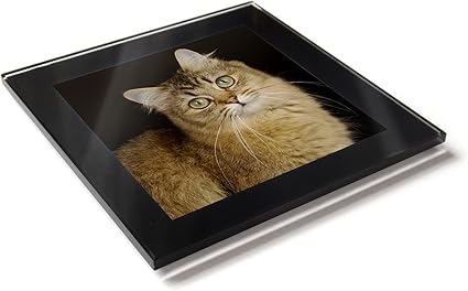 Tiffanie Cafe Creme Chat Chaton Premium Dessous De Table En Verre Avec Boite Cadeau Amazon Fr Cuisine Maison