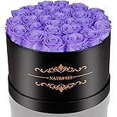 NATROSES Gifts for Her 27 Piece Forever Preserved Roses in a Box, Preserved Flowers for Delivery Birthday, Flowers Gifts for Mothers Day, Violet