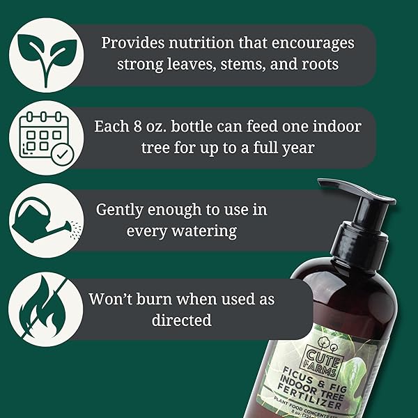 CUTE FARMS INDOOR FIDDLE LEAF FICUS LYRATA & FIG TREE FERTILIZER | GENTLE PLANT FOOD CONCENTRATE 3-1-2 FOR HEALTHY LEAVES & ROOTS (TWO – 8 OZ. BOTTLES)