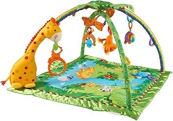 fisher price gym baby