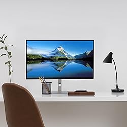 Dell 24 inch Monitor, P2425H Full HD 1080p Computer