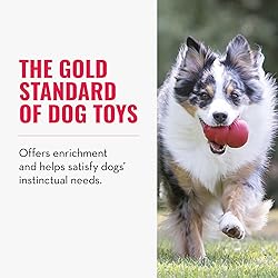 KONG Classic Stuffable Dog Toy - Fetch & Chew Toy