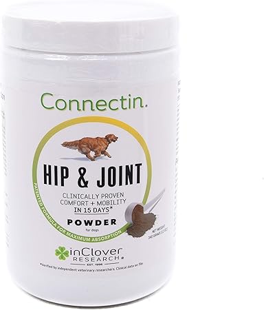 connectin hip and joint