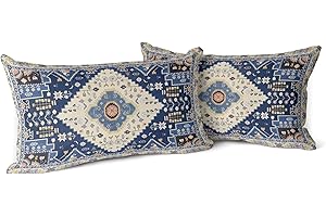 Snycler Boho Throw Pillow Covers Farmhouse Home Decor for Sofa Porch Patio Bed Room Outdoor,Set of 2,Carpet Pattern Throw Pil