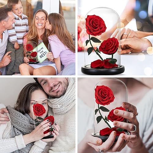 AINYROSE Gifts for Women Forever Preserved Red Rose,Birthday