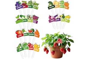 24 Pcs Garden Signs for Vegetables Acrylic Vegetable Plant Label Signs Funny Cartoon Garden Markers Waterproof Reusable Potte