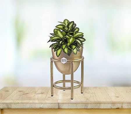 GIG Handicrafts Modern Egg Shape Iron Planter with Iron Plant Stand for Blacony Living Room Outdoo Indoor Tabletop Window Planter Gift (16 cm x 16 cm x 25 cm, Gold)