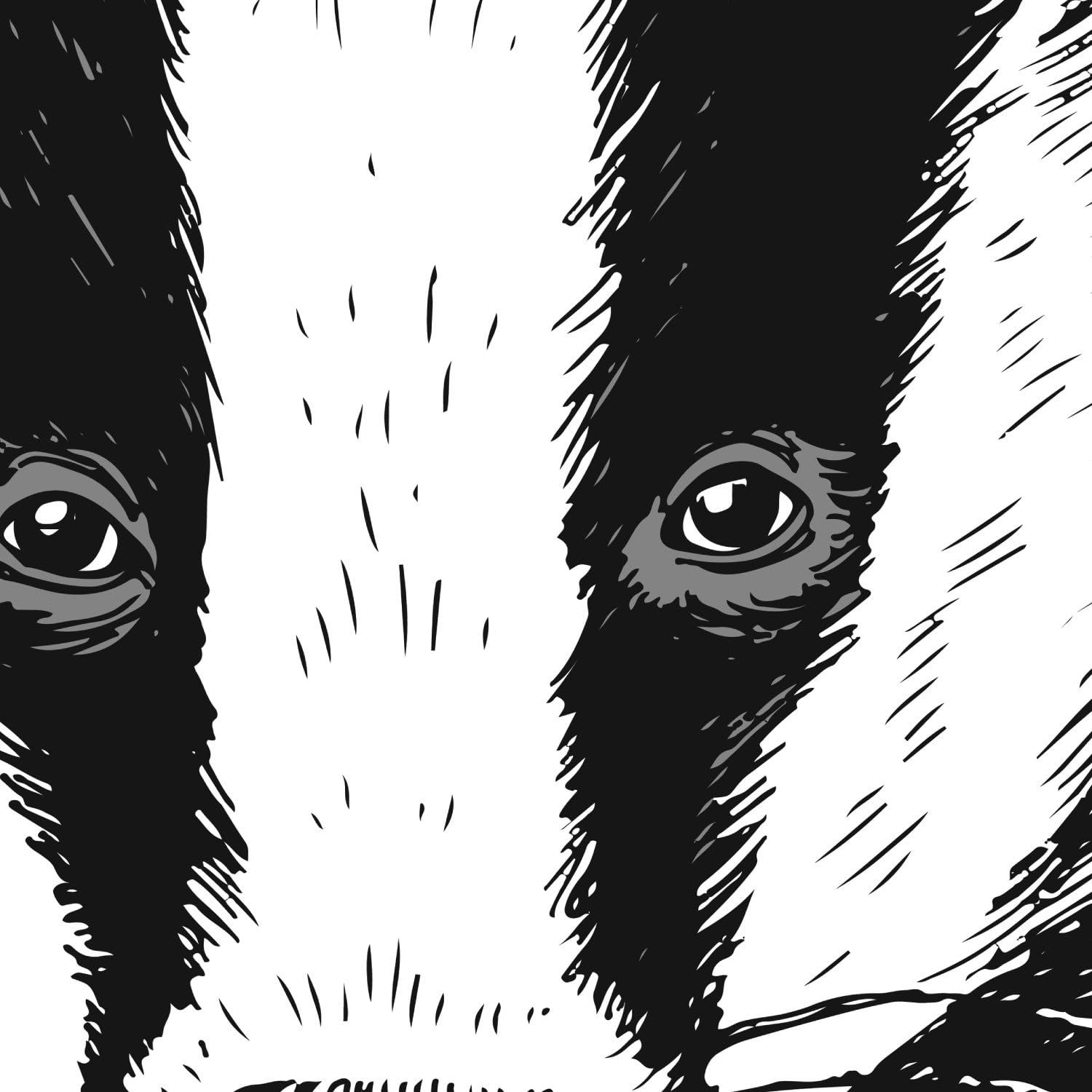 Nacnic Set of Two Sheets Animals Illustrated. Pack of Two Poster for framing with Illustrations of Animals. Gift for Friends of Animals. Paper 250 Grams High Quality Pack 1 - Image 5