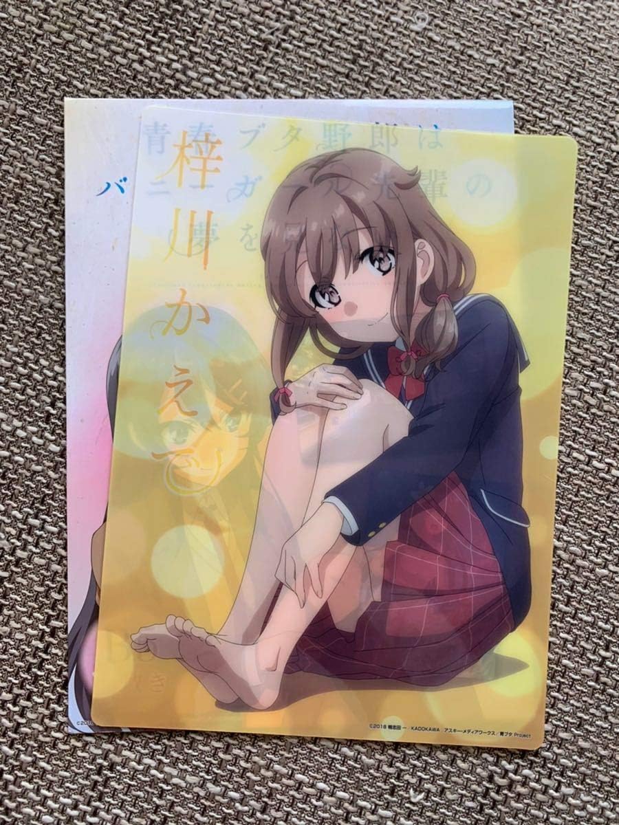 Amazon Co Jp 青春ブタ野郎はバニーガール先輩の夢を見ない B5 下敷き 下じき 青ブタ 梓川かえで ホビー Amazon Co Jp 青春ブタ野郎はバニーガール先輩の夢を見ない B5 下敷き 下じき 青ブタ 梓川かえで ホビー