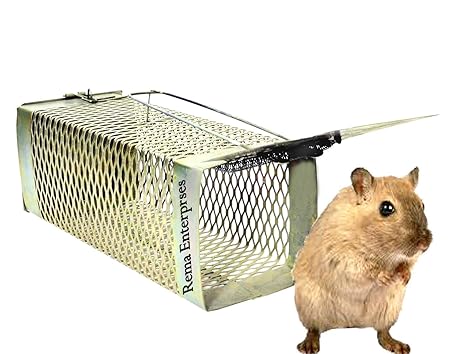 ASTRO HUB Iron Rat Trap Cage (Big Size)