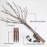 Eambrite 3 Pack 76cm Twig Lights with Ground Stakes Warm White LEDs view 3