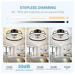 Asyko Ceiling Fans with Lights -Low Profile Modern