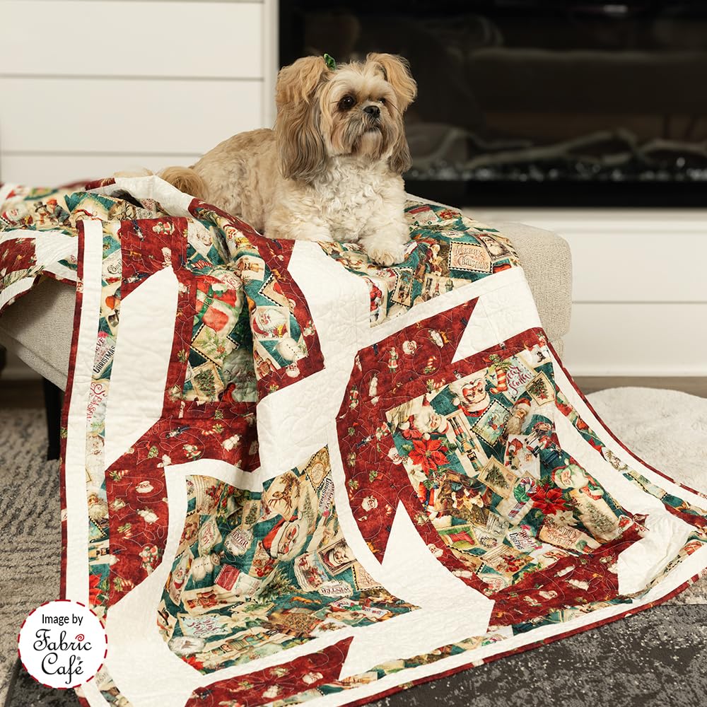 Fabric Café Big Block 3-Yard Quilts – 8 Easy Quilt Patterns with Large Blocks to Showcase Your Favorite Fabrics – Quick, Beginner-Friendly, 3 Size Options – Fast & Fun Quilt Book