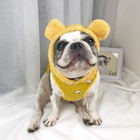 french bulldog clothes amazon