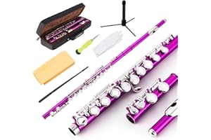 EASTROCK Closed Hole Flutes C 16 Key for Beginner, Kids, Student -Nickel Flute with Case Stand and Cleaning kit (Pink)