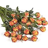 DuHouse 24pcs Artificial Vintage Roses Fake Silk Rose Flowers with Long Stem for DIY Bouquets Wedding Centerpiece Party Home Kitchen Decoration(Burnt Orange)
