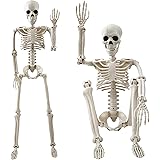 71qv72FMv6L. AC UL160 SR160,160 The Role of Spirits in Voodoo: Fact or Fiction?