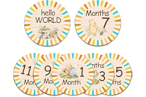 Hatzelou 7Pcs Baby Monthly Milestone Circles, Winnie Baby Stuff, Milestone Wooden Circles Stuff, Baby Monthly Announcement Wooden Discs, Double-Sided Printing Months Baby Milestone Keepsake