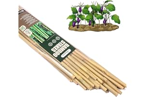 Cambaverd Bamboo Stakes 5 Feet Natural Bamboo Plant Stakes, Garden Stakes for Tomatoes, Beans, Flowers, Potted Trees and Climbing Plants Support - 20 Pack Bamboo Sticks for Plants