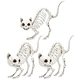 Kitten Skeleton Halloween Decoration