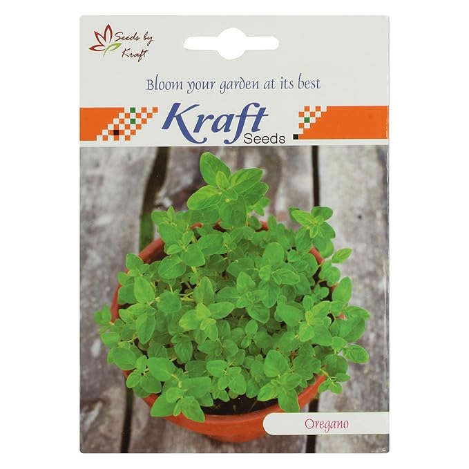 Oregano Herb Seeds (Pack of 5) by Kraft Seeds Amazon.in Garden & Outdoors