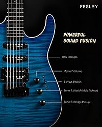 Fesley Electric Guitar, Full Size Solid Body