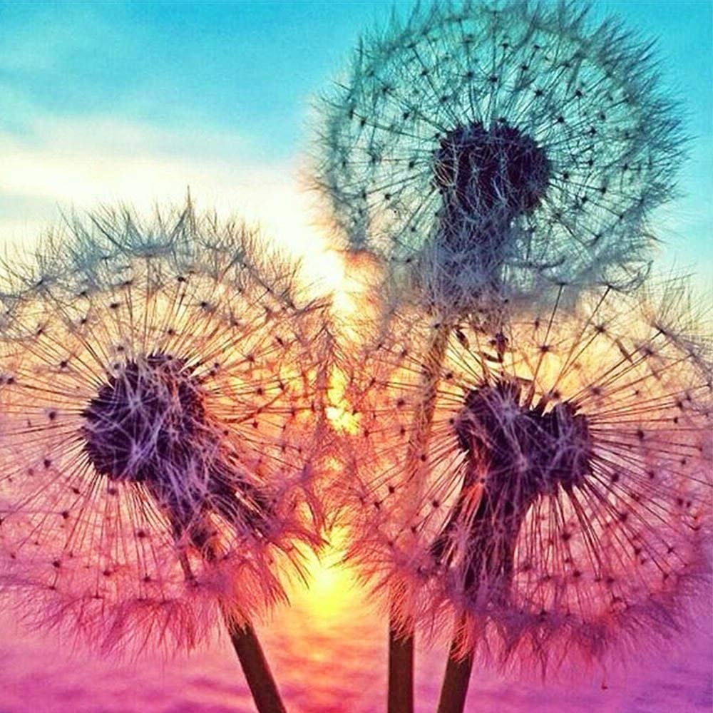 Ruiuzioong DIY 5D Diamond Painting by Number Kits, Painting Cross Stitch Full Drill Crystal Rhinestone Embroidery Pictures Arts Craft for Home Wall Decor Gift (Dandelion,30 * 30)