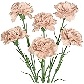 IPOPU Carnations Artificial Flowers,6PCS Real Touch Beige Flowers 20'' Long Stem Fake Carnations for Tall Vases Home Wedding Party Table Centerpieces Decor (Beige)