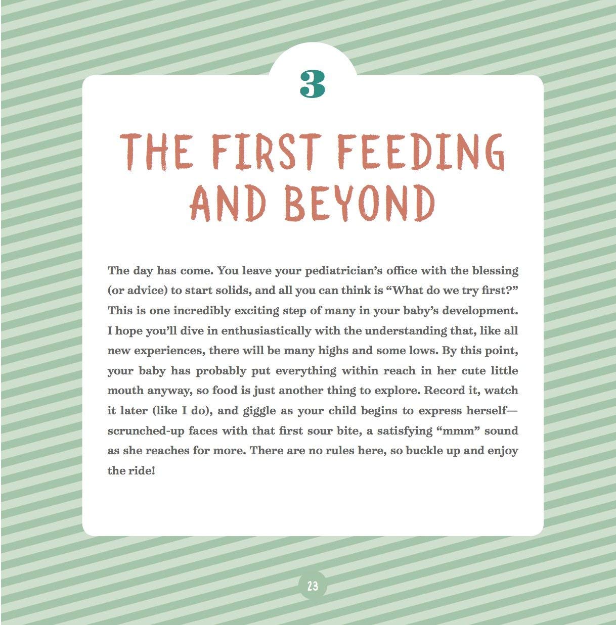 big book of organic baby food