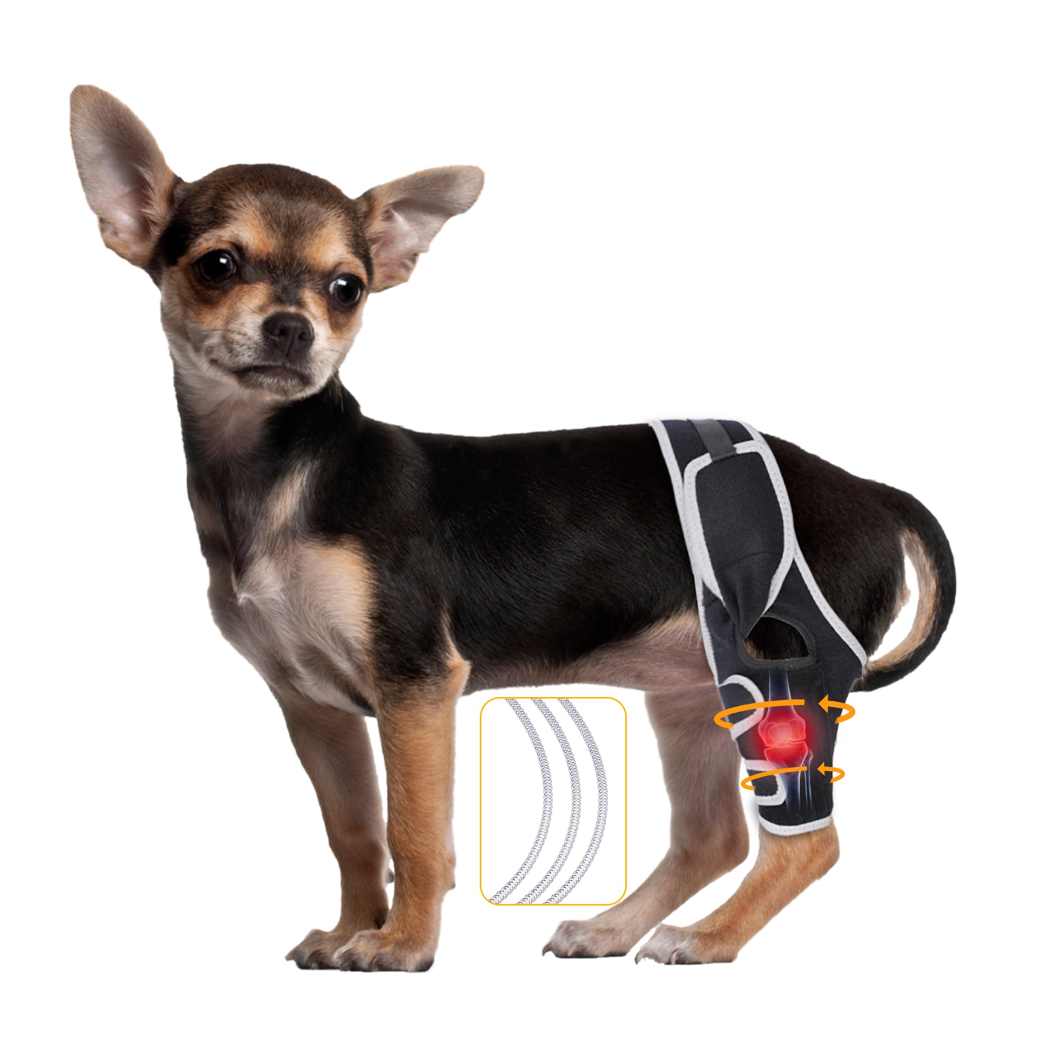 Photo 1 of XUVIRA Dog Leg Brace for Acl and Ligament Injuries – Adjustable Support for Joint Pain Relief and Muscle Recovery – Fits Front or Back Legs – Lightweight and Comfortable, XS