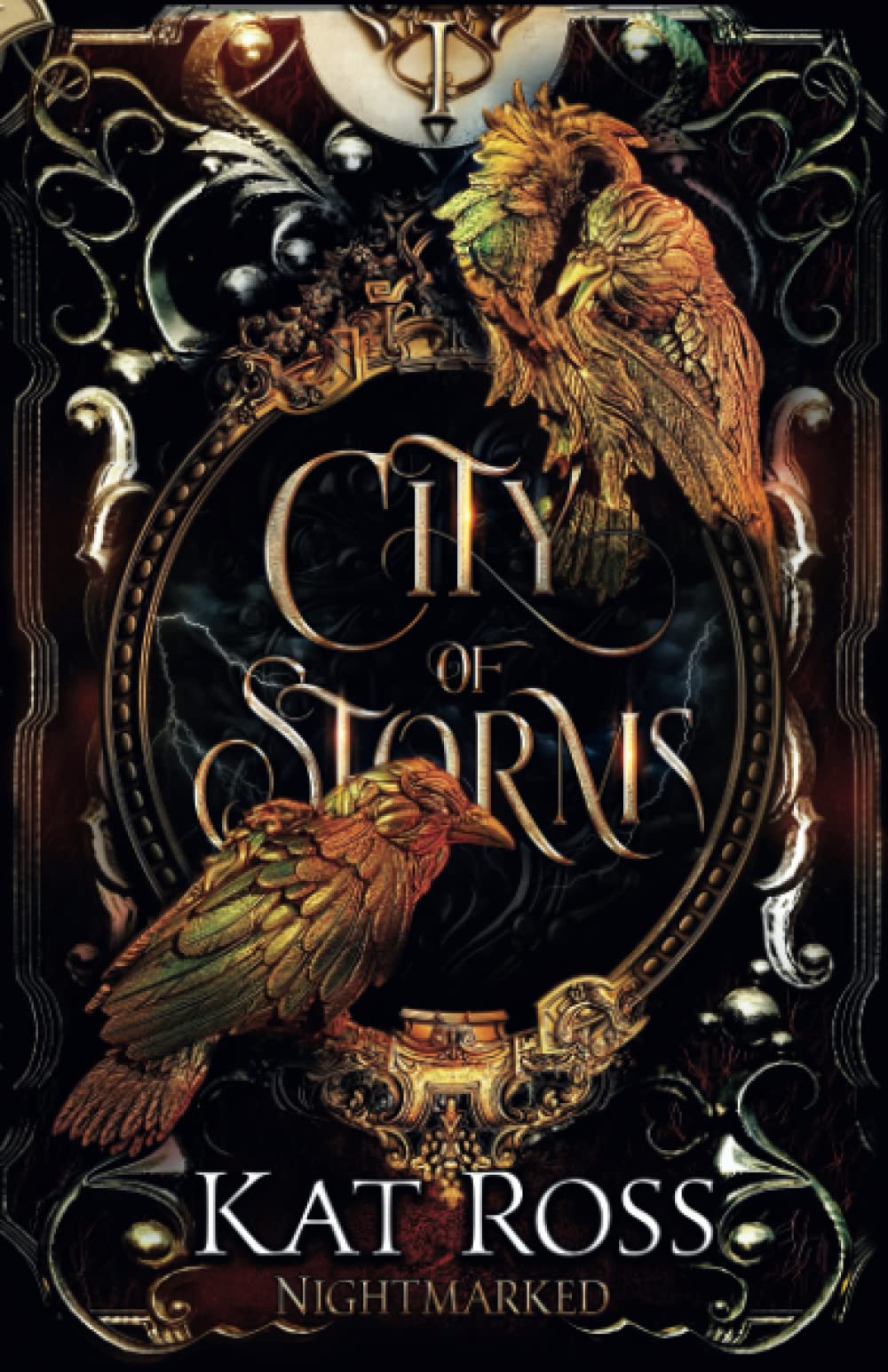 Book cover for City of Storms