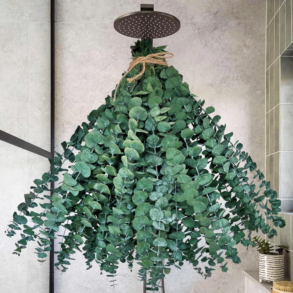 Dried & Preserved Flora - 30 PCS Preserved Dried Eucalyptus Stems Bundle, 17