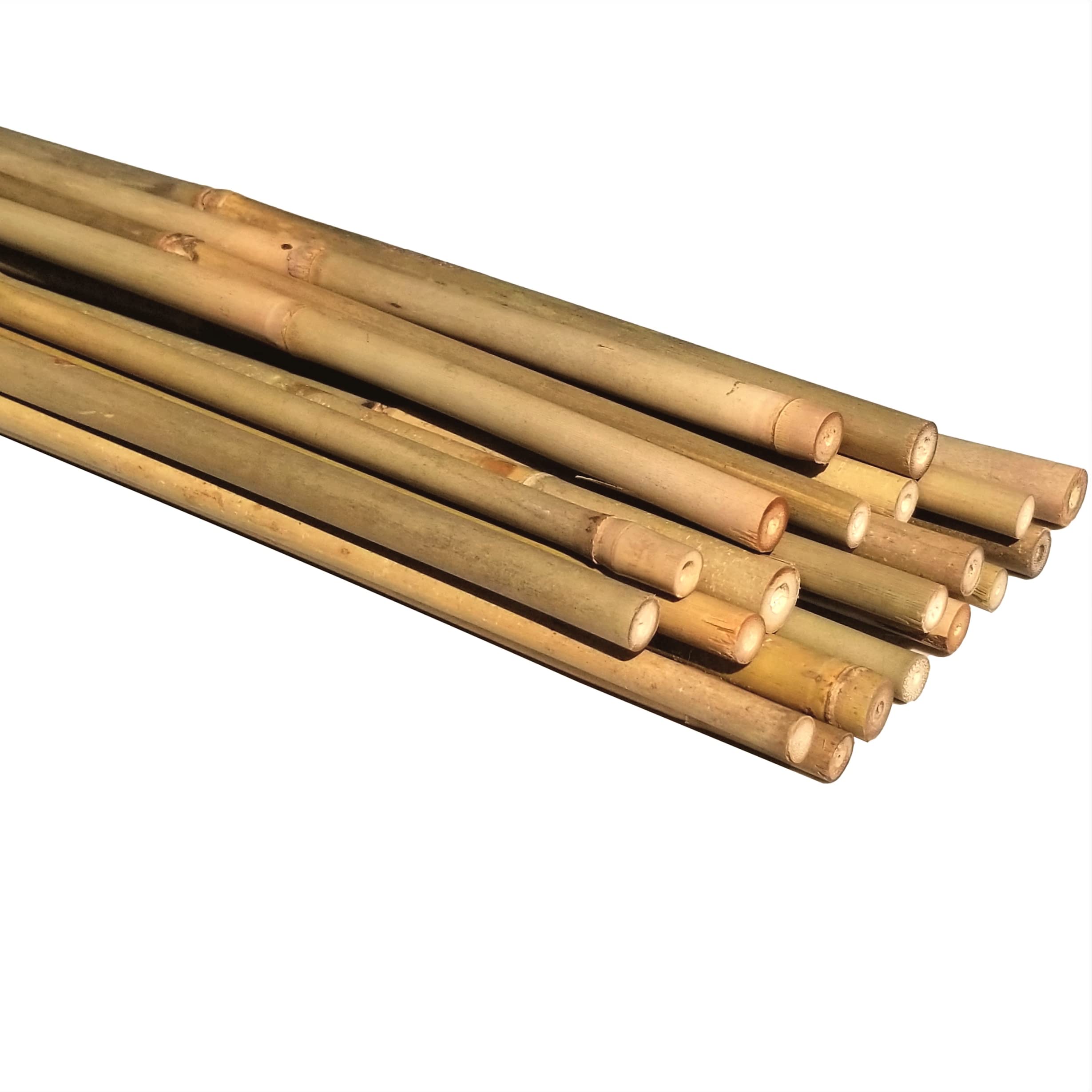 Dlh Western Natural Bamboo Poles, Eco-Friendly Plant Support Garden Stakes, 16 Inch Long (20-Count)