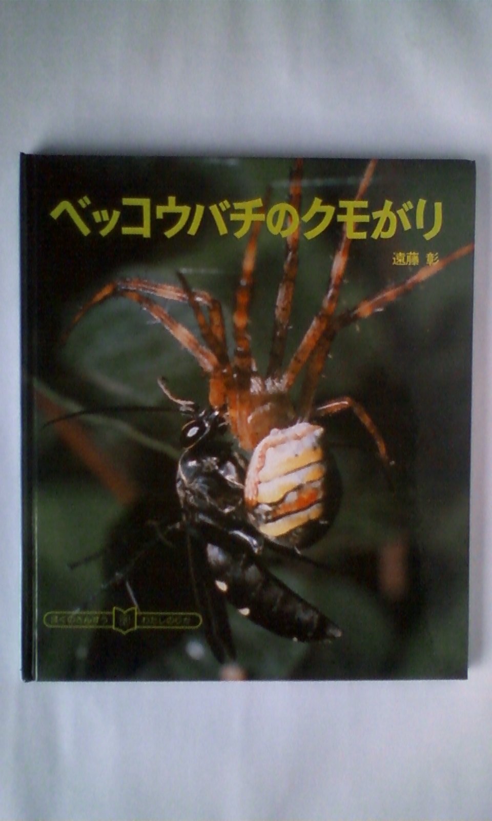 ベッコウバチのクモがり 19年 ぼくのさんすう わたしのりか 23 遠藤 彰 本 通販 Amazon