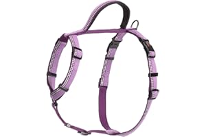 COMPANY OF ANIMALS HALTI Walking Harness - Lightweight Dog Harness with Handle, Reflective & Adjustable, Ideal for Puppy Walks, Suitable for Small Dogs and Puppies (Size S, Purple)