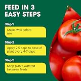 Doff 3L Tomato Pour and Feed Plant Fertiliser for Tomatoes Vegetables Flowers view 4