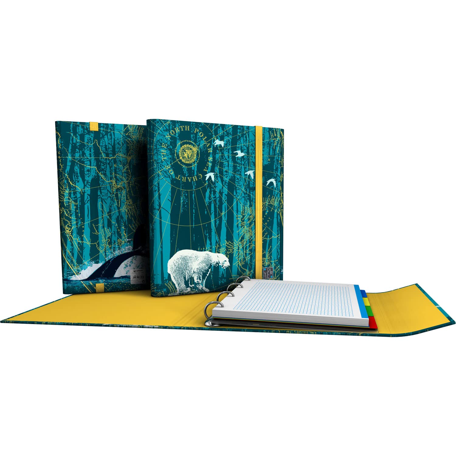 Grafoplás 88212650. 4 Ring Binder with Flap, A4, Rubber Closure, Includes Replacement and Separators, Carpeplus, Diverse Collection, North Polar