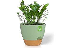 ZMTECH 1 Pack 12 Inch Plant Pots with Watering Lip Self Watering Planters with Drainage Holes and Removable Saucer Plastic Fl