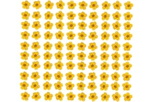 YUNZHI Pressed Flower for Resin Small Plum Blossom Narcissus, Dried Flower, Real Flower, Nail Flower Material, Glue Drop, Mobile Phone case, Hand Made 100pcs/pack (Yellow)