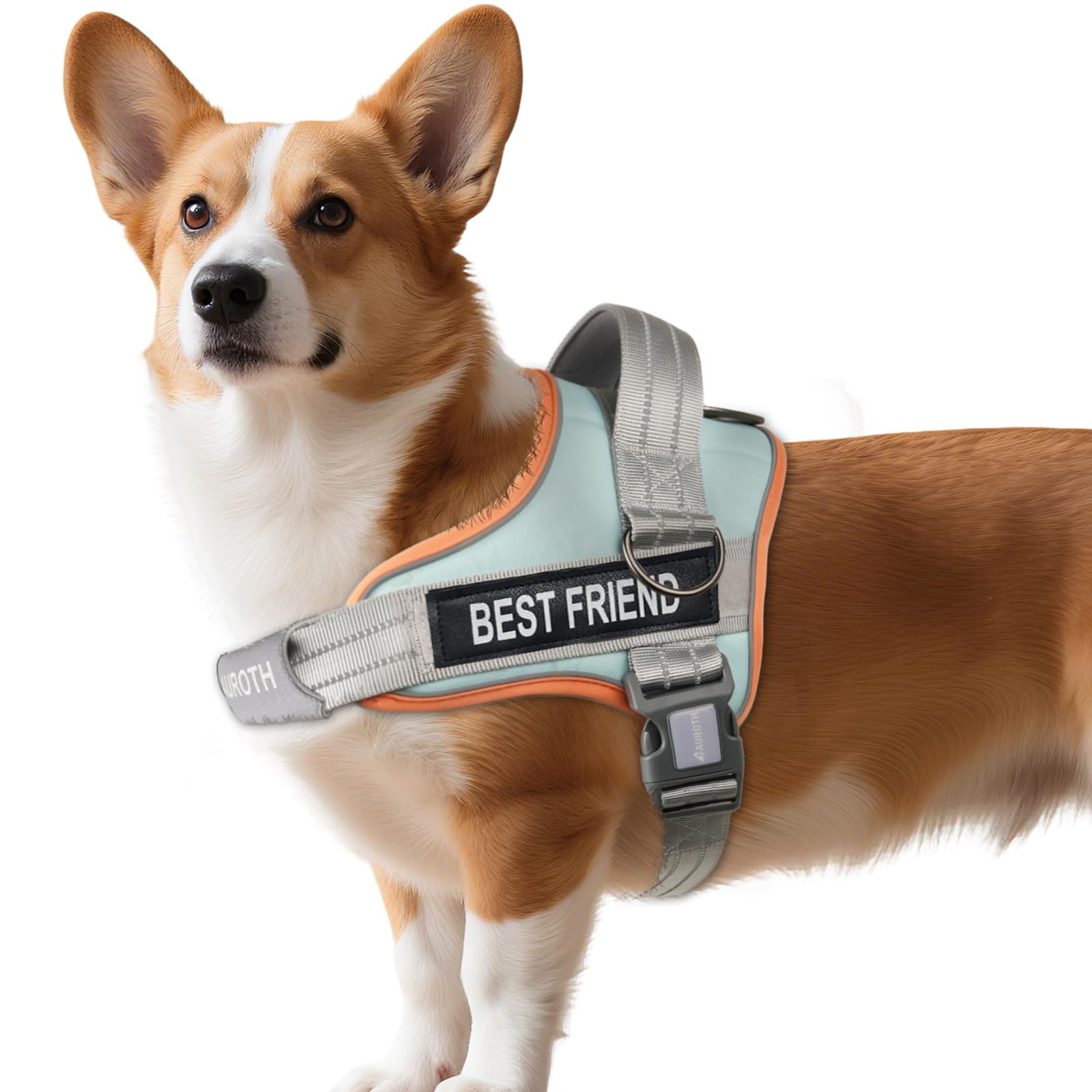 Photo 1 of AUROTH Dog Harness No Pull Soft Padded Service Dog Vest, No Choke, Easy On Pet Vest with Handle, Adjustable Reflective Dog Harness for Small, Medium and Large Dogs, Easy Walking and Training
