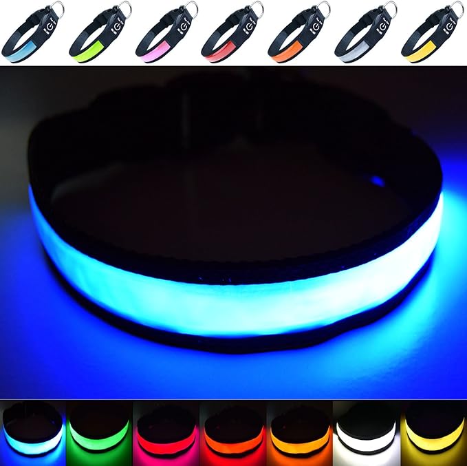 PetSol LED Dog Collar In Red USB Rechargeable Flashing Light Safety - Foto 6