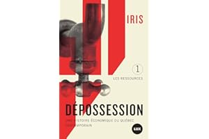 Dépossession: Une histoire économique du Québec contemporain. 1- Les ressources (French Edition)