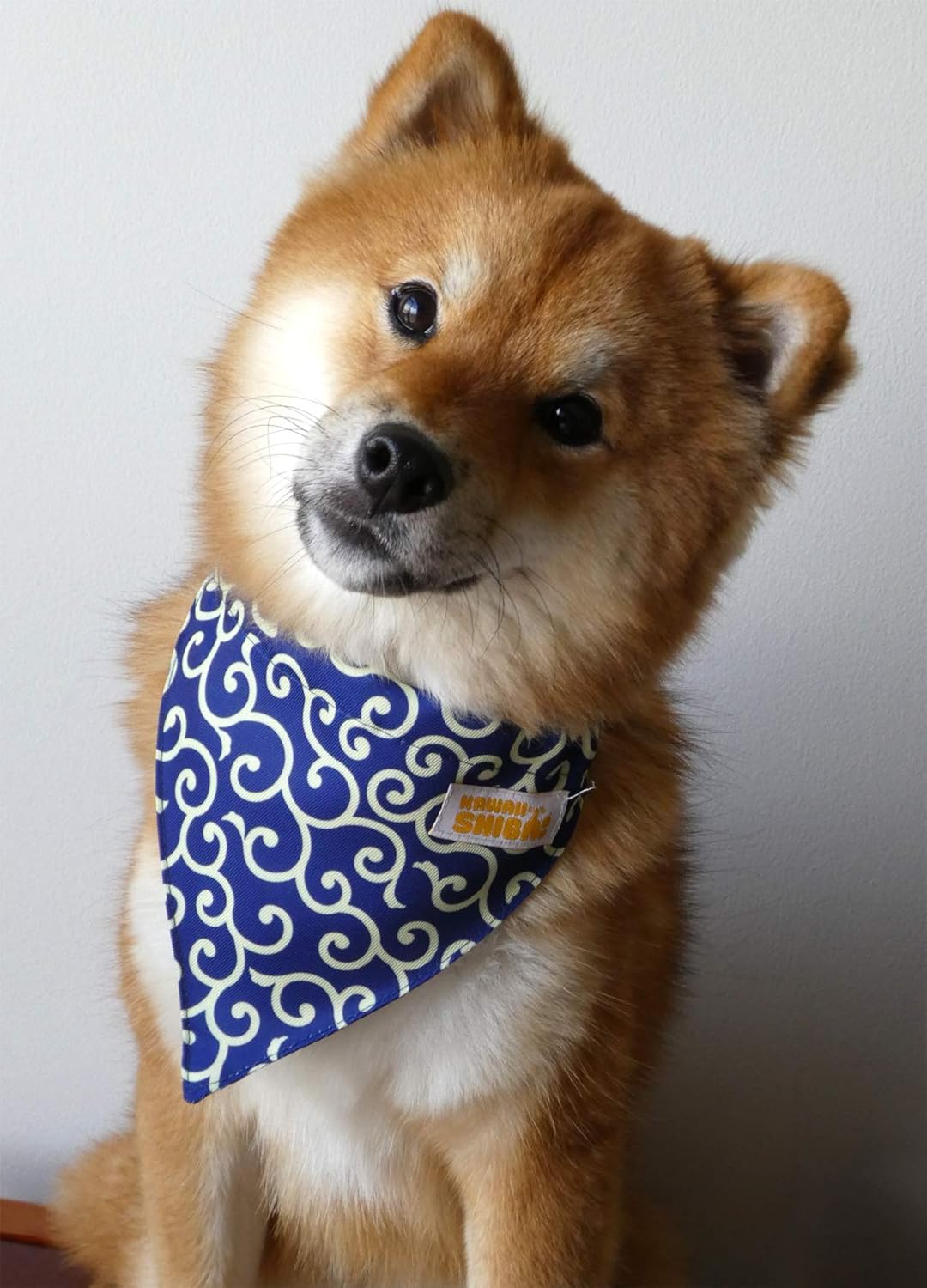 shiba scarf