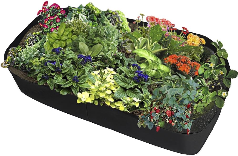 DAMEING Fabric Raised Garden Bed, Rectangle Planter Grow Bags Plant Pot for Herb Flower Vegetable Plants (6 x 3ft)