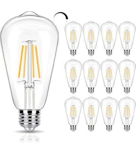 winsaLED 12 Pack 2W LED Edison Bulbs, 25 Watt Light Bulbs Equiv
